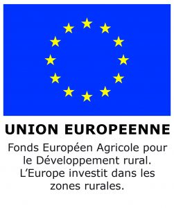 Logo 1 UE FEADER